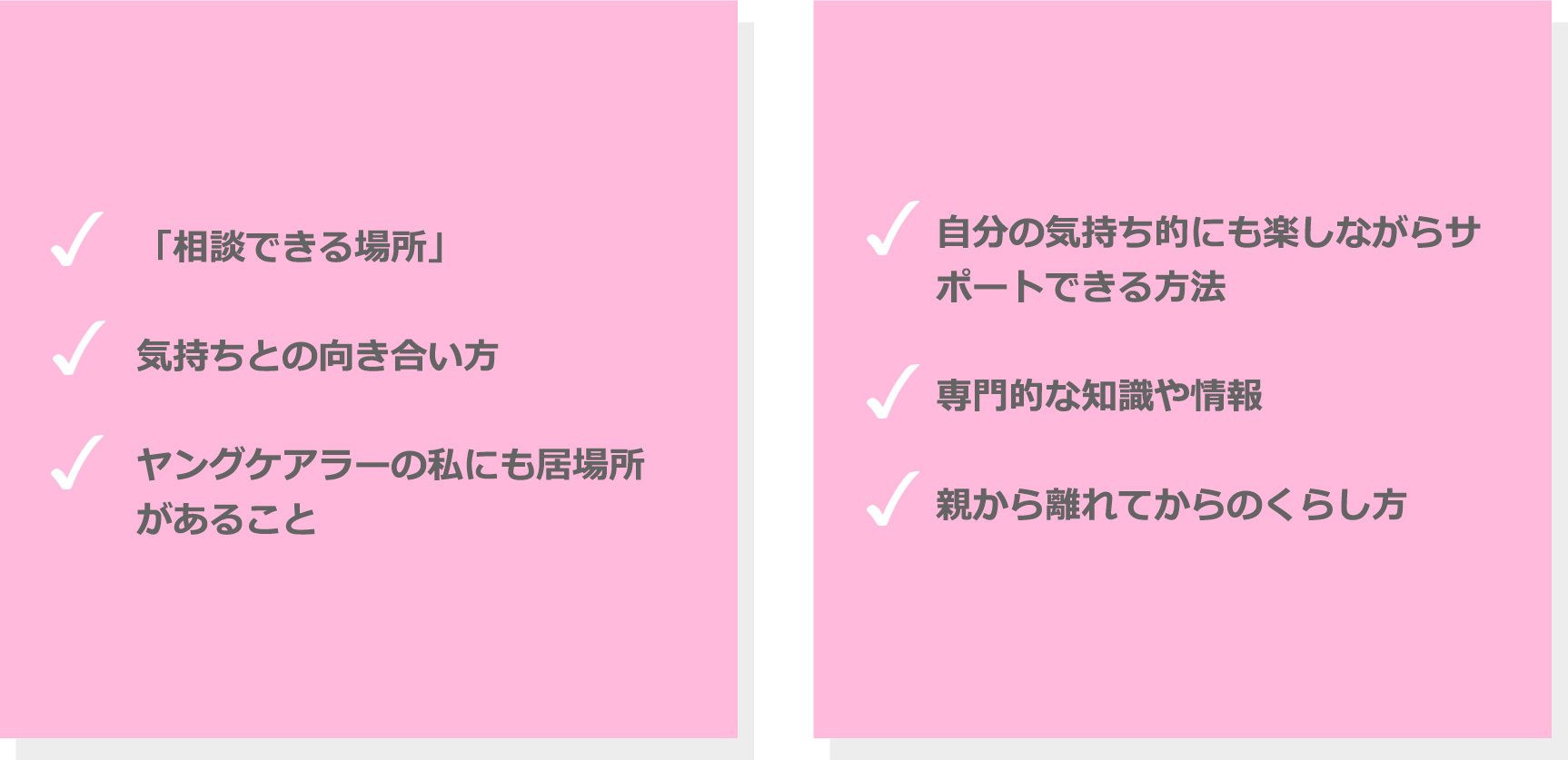 「相談できる場所」。気持ちとの向き合い方。ヤングケアラーの私にも居場所があること。自分の気持ち的にも楽しながらサポートできる方法。専門的な知識や情報。親から離れてからのくらし方。